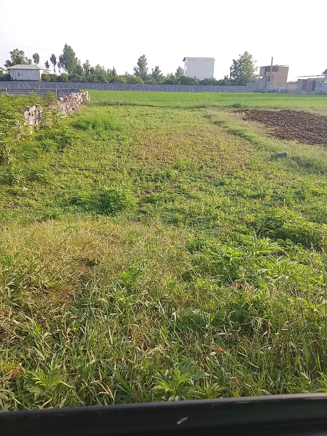 زمین مسکونی
