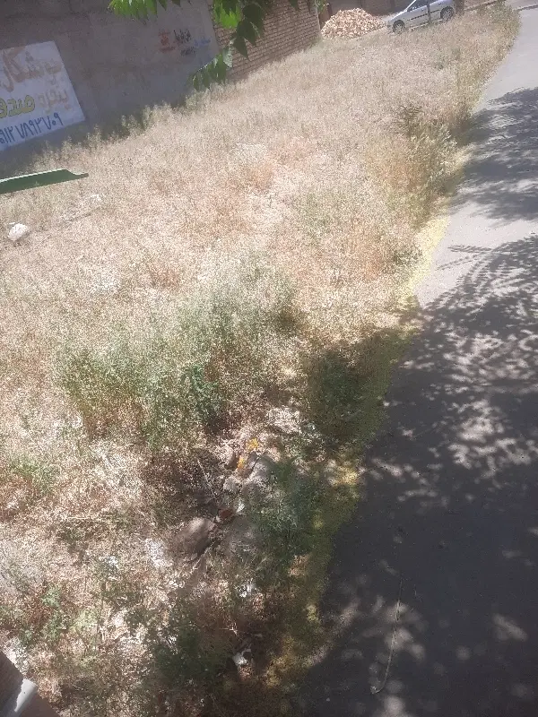 زمین جنوبی دونبش فاز۱ شهرک دانش