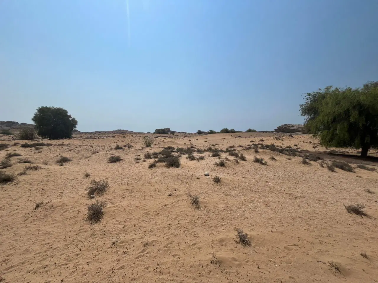 زمین واگذاری بنیاد مسکن