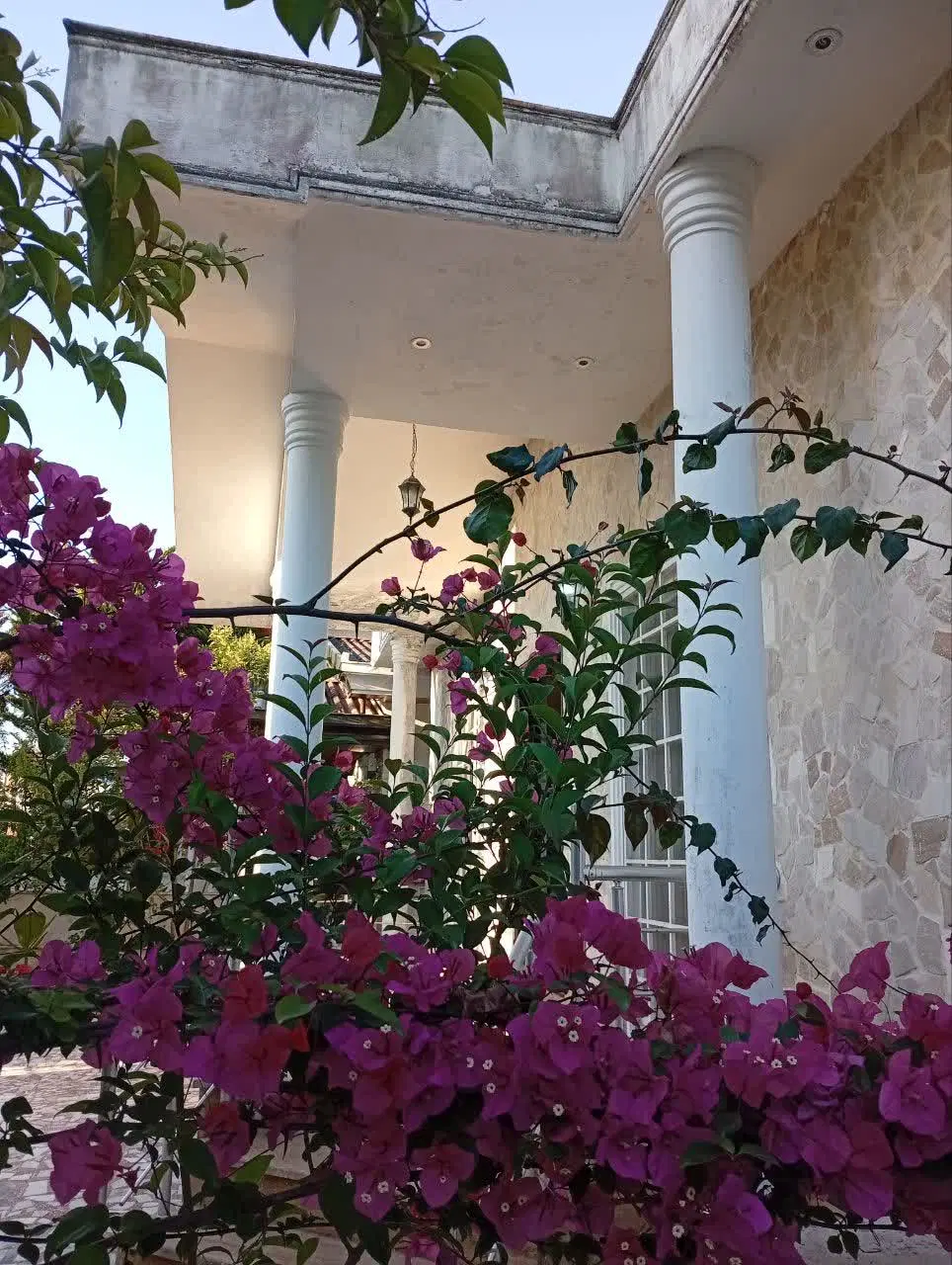 اجاره شبانه ویلا دربست