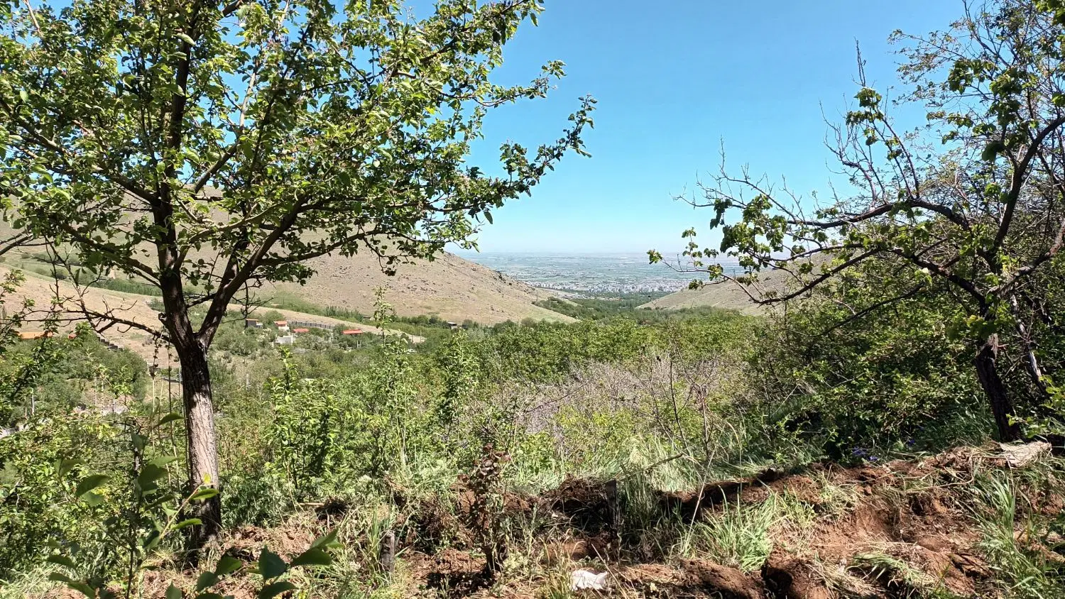 باغ قدمت دار حیدره