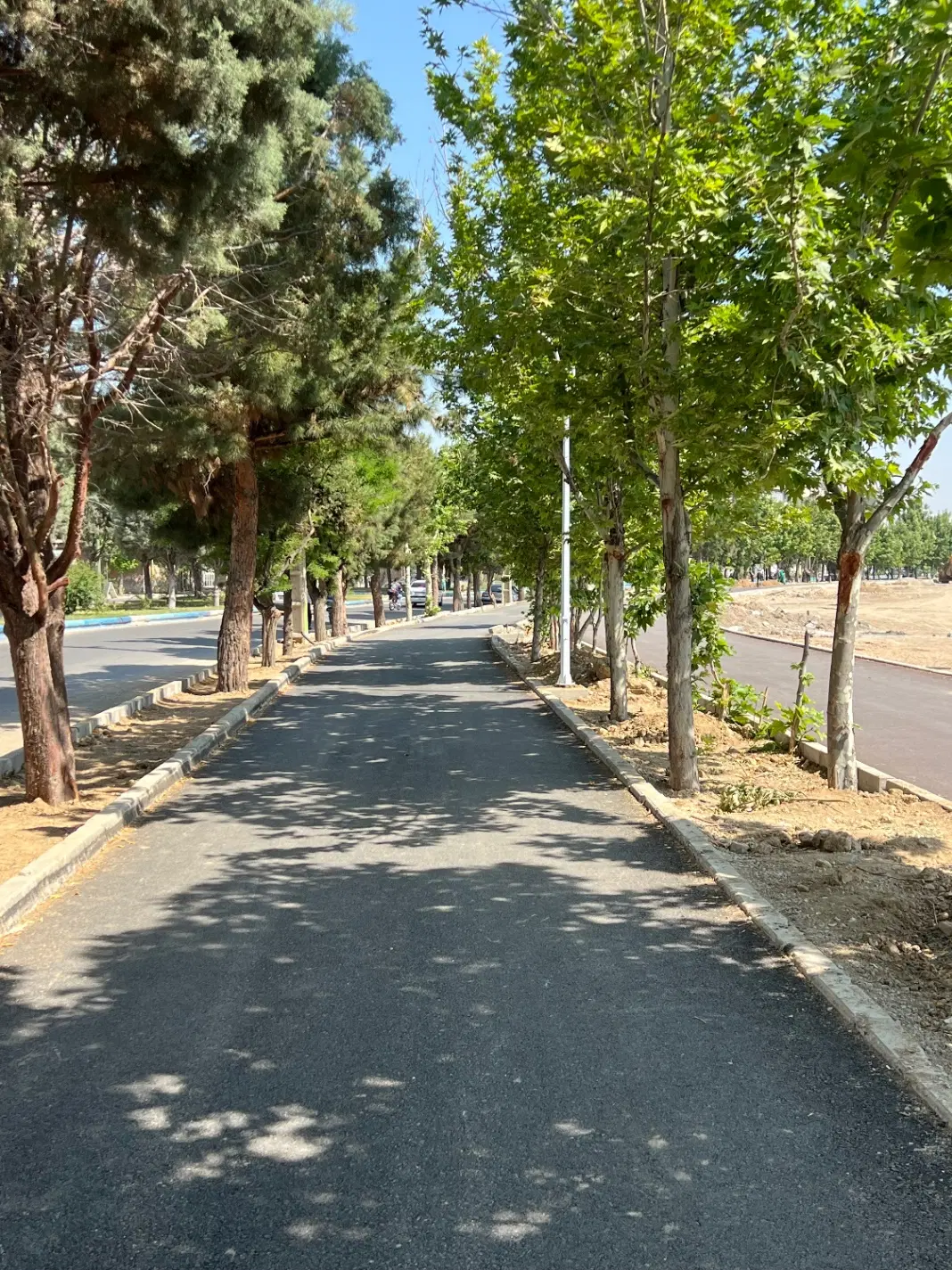 اپارتمان لوکس تک واحدی