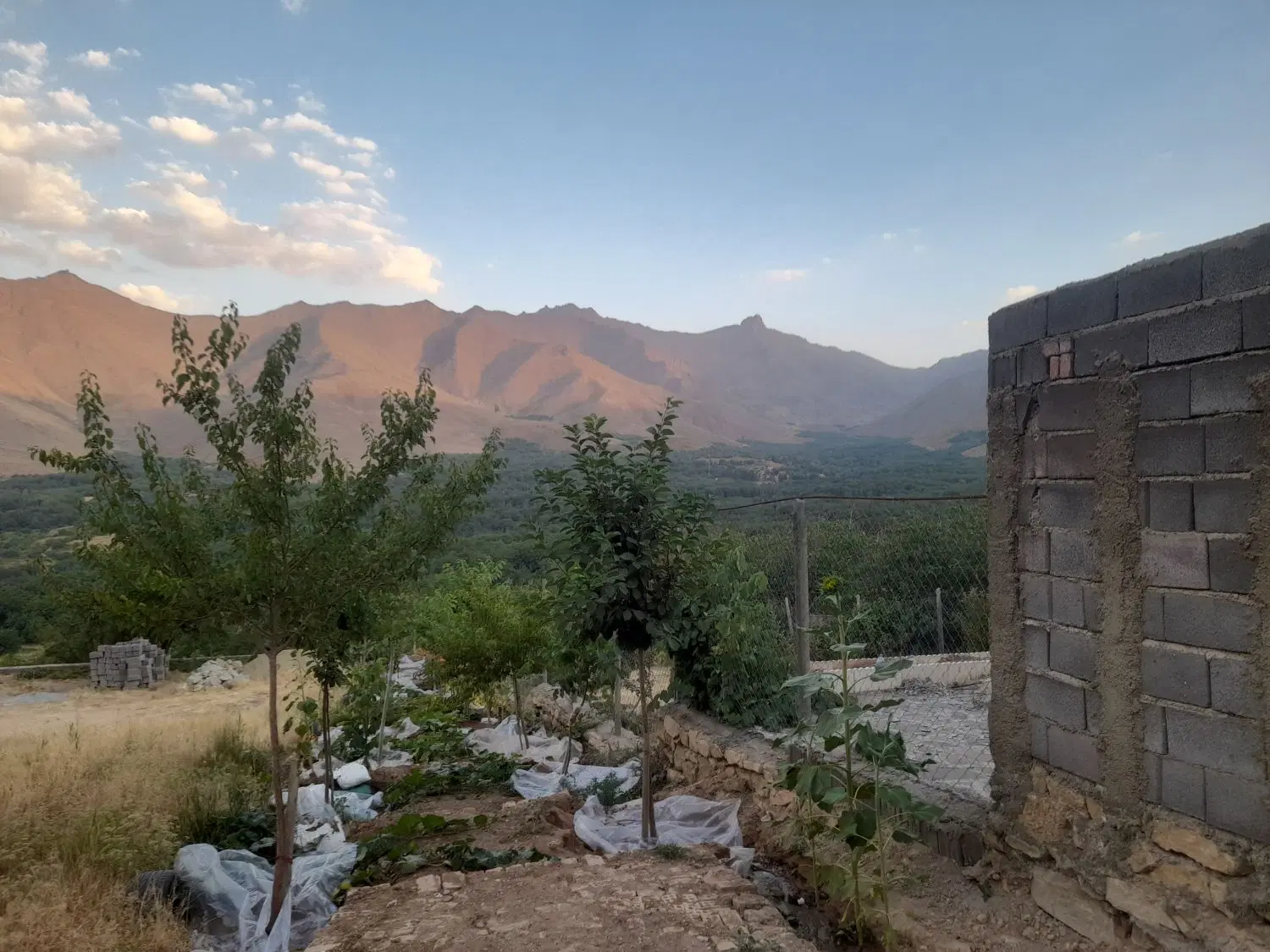 باغ امامزاده کوه