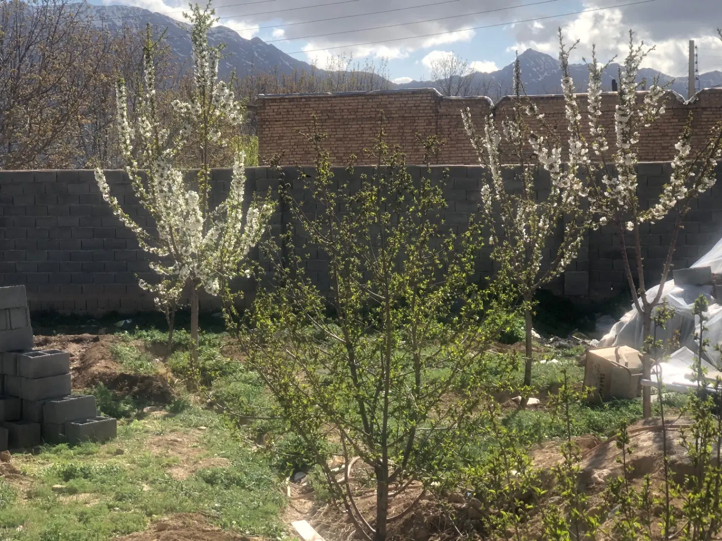فروش زمین