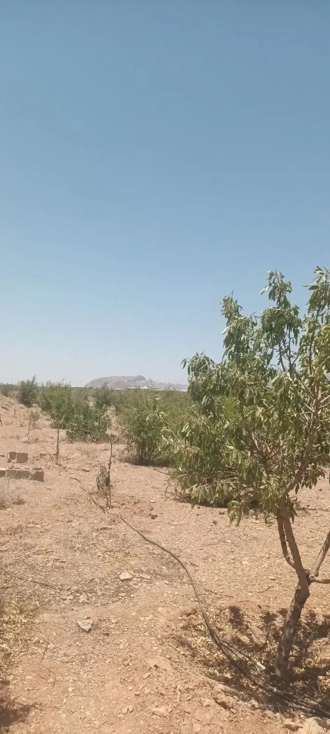 باغ فروشی در نهضت اباد ۵۵۰ متری با سند