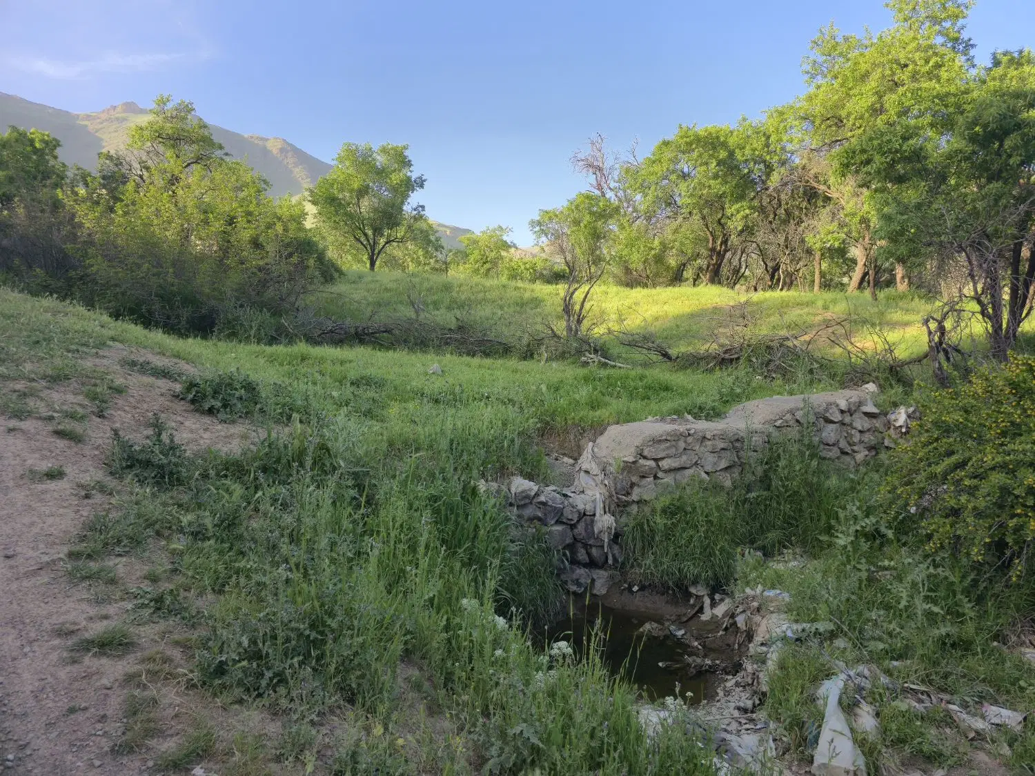 باغ روستای کندوله