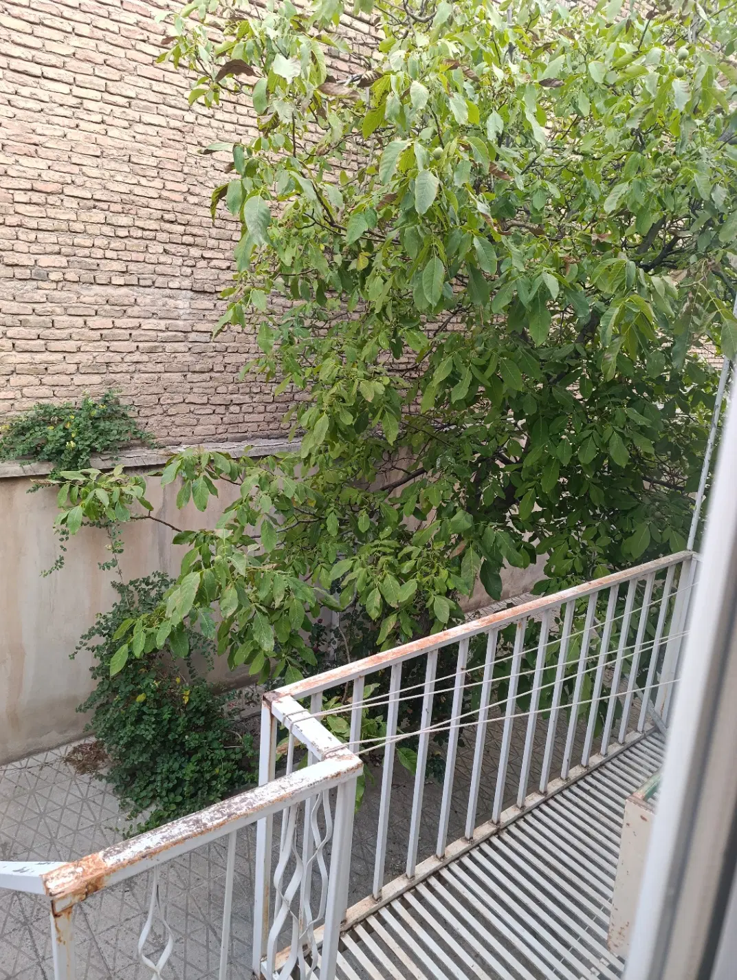 اجاره ویلایی