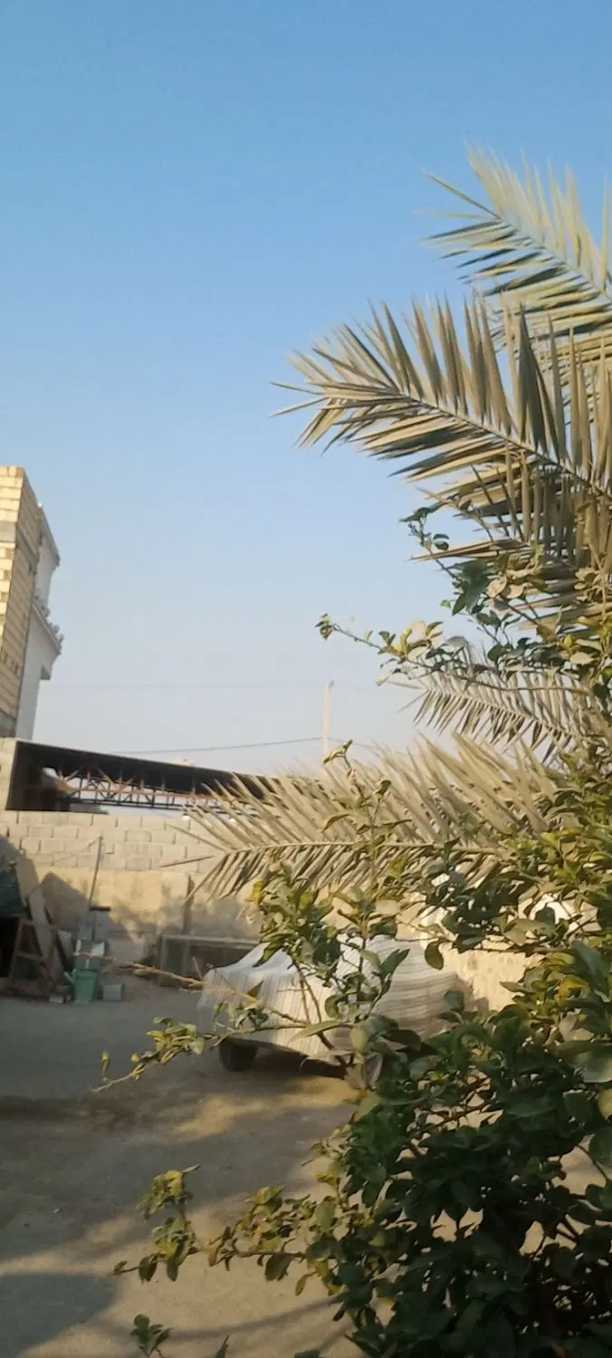 اتاق اجاره ای