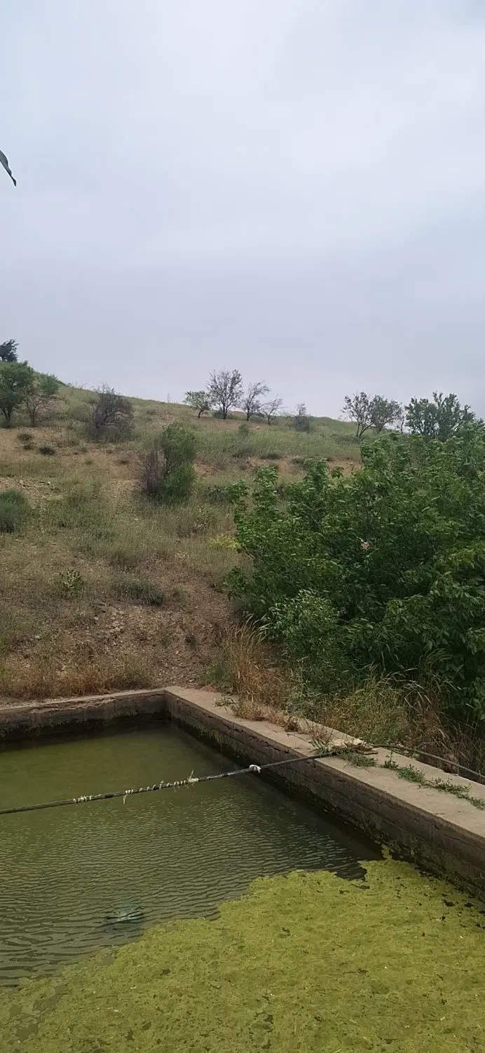 باغ زمین کشاورزی