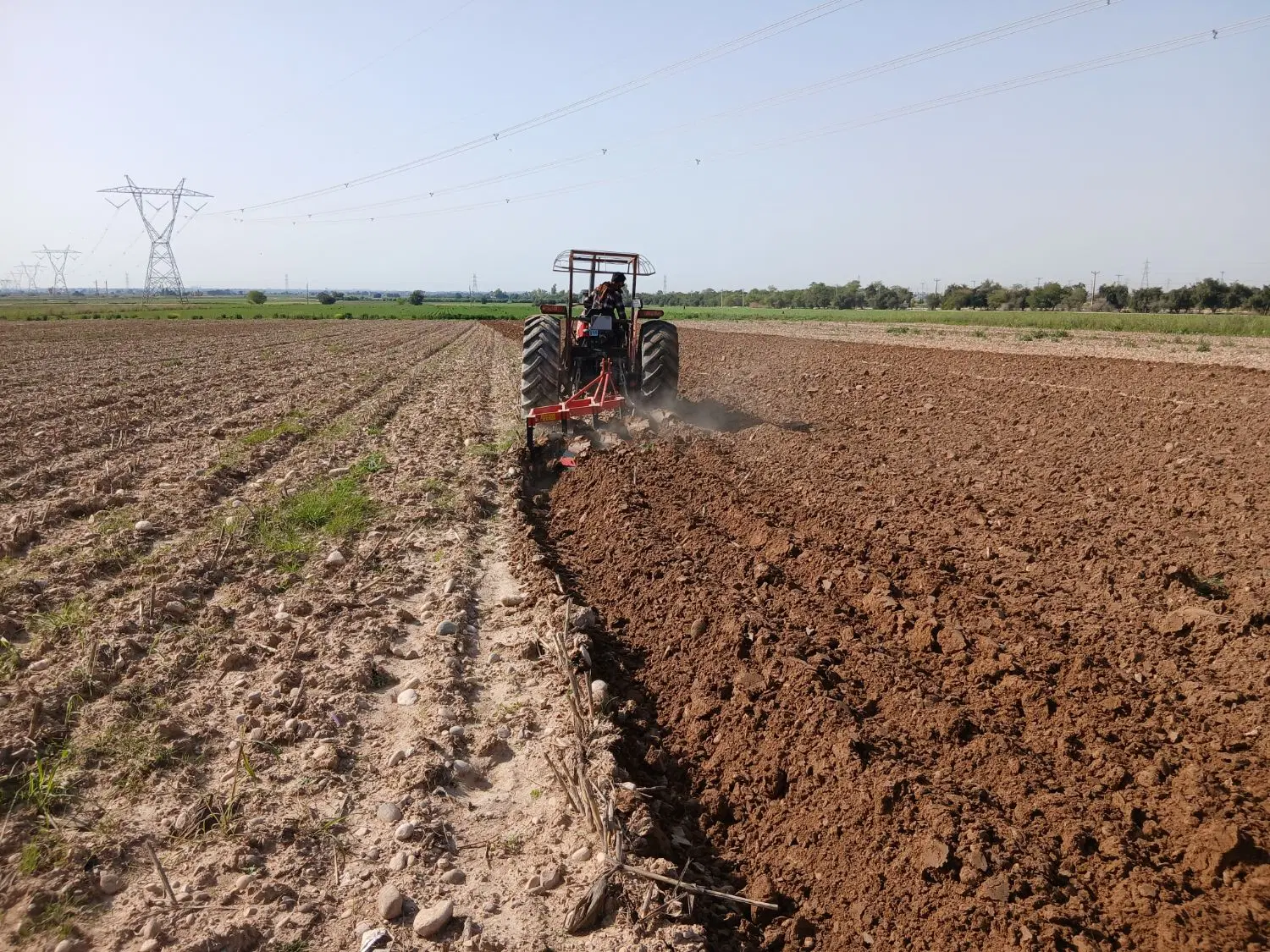 اجاره زمین کشاورزی