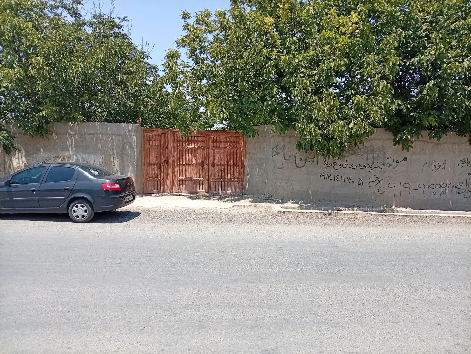 باغ چهار دیواری  سند تک برگ