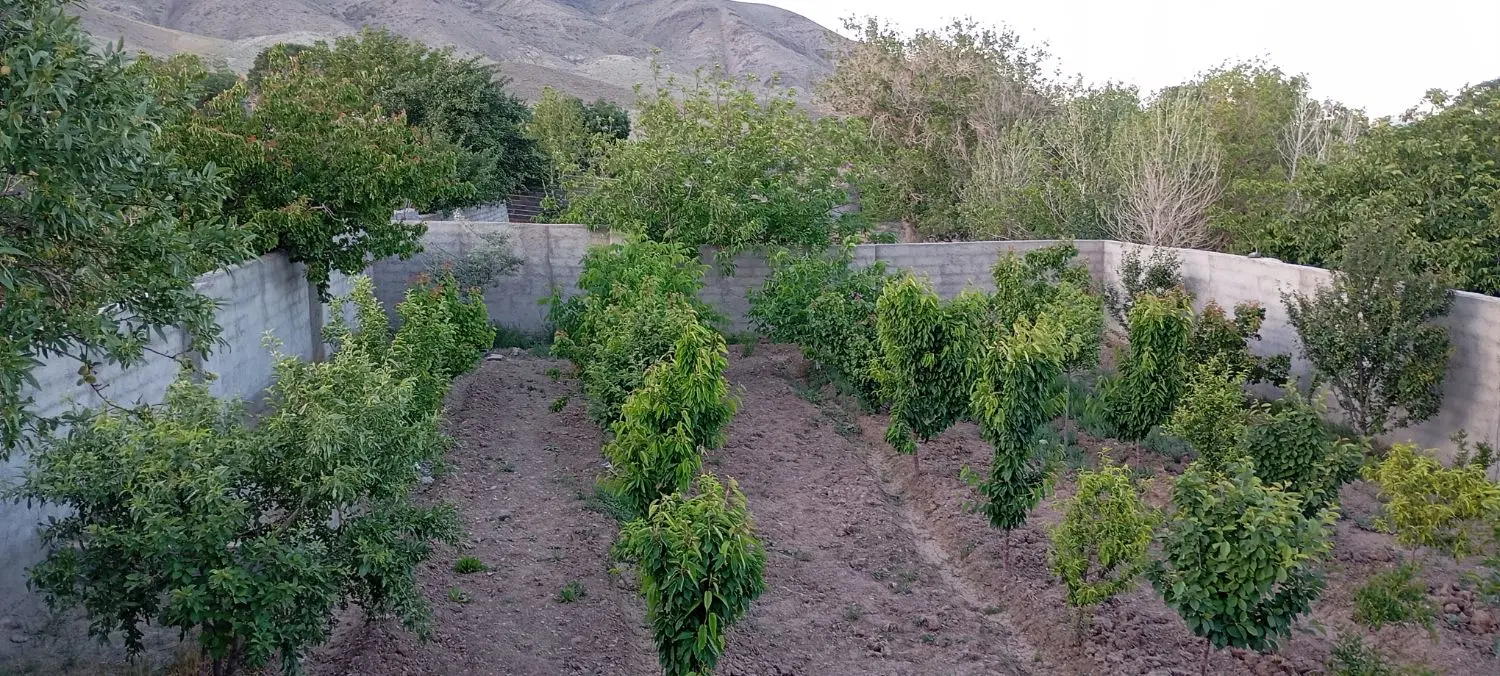 باغچه چهار دیواری