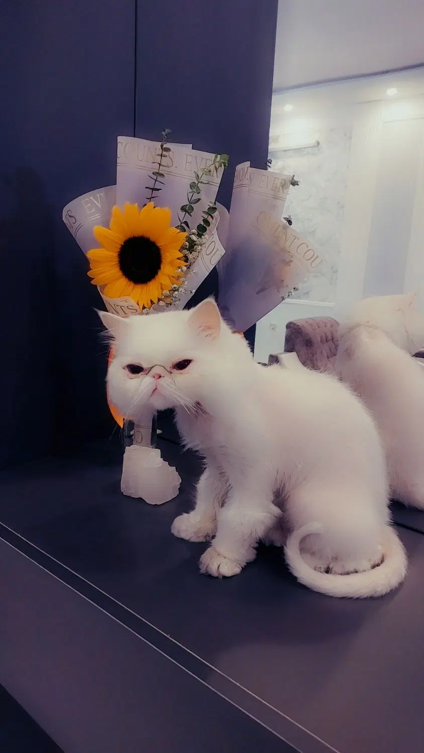 اپارتمان ۲۰۰ متر ۲ سال ساخت