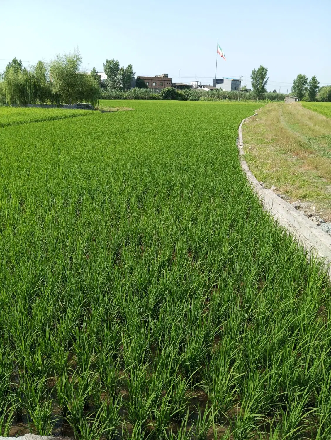 زمین