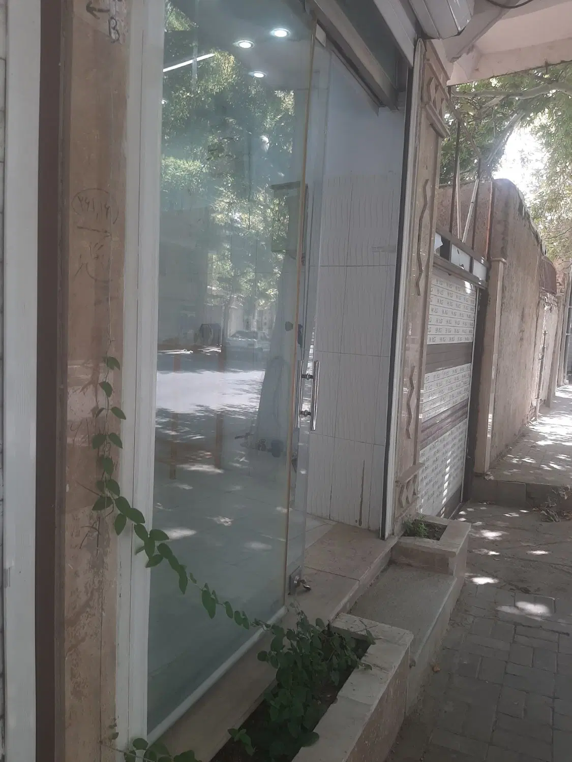 مغازه عارف