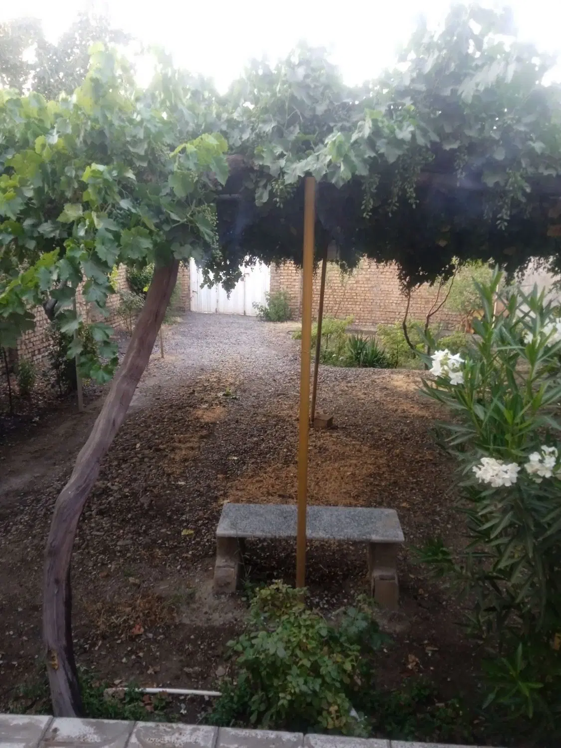 اجاره خانه