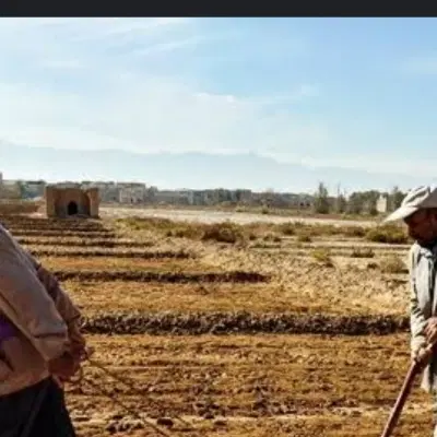 زمین کشاورزی در مسیر ساری داغ (علی خواجه)
