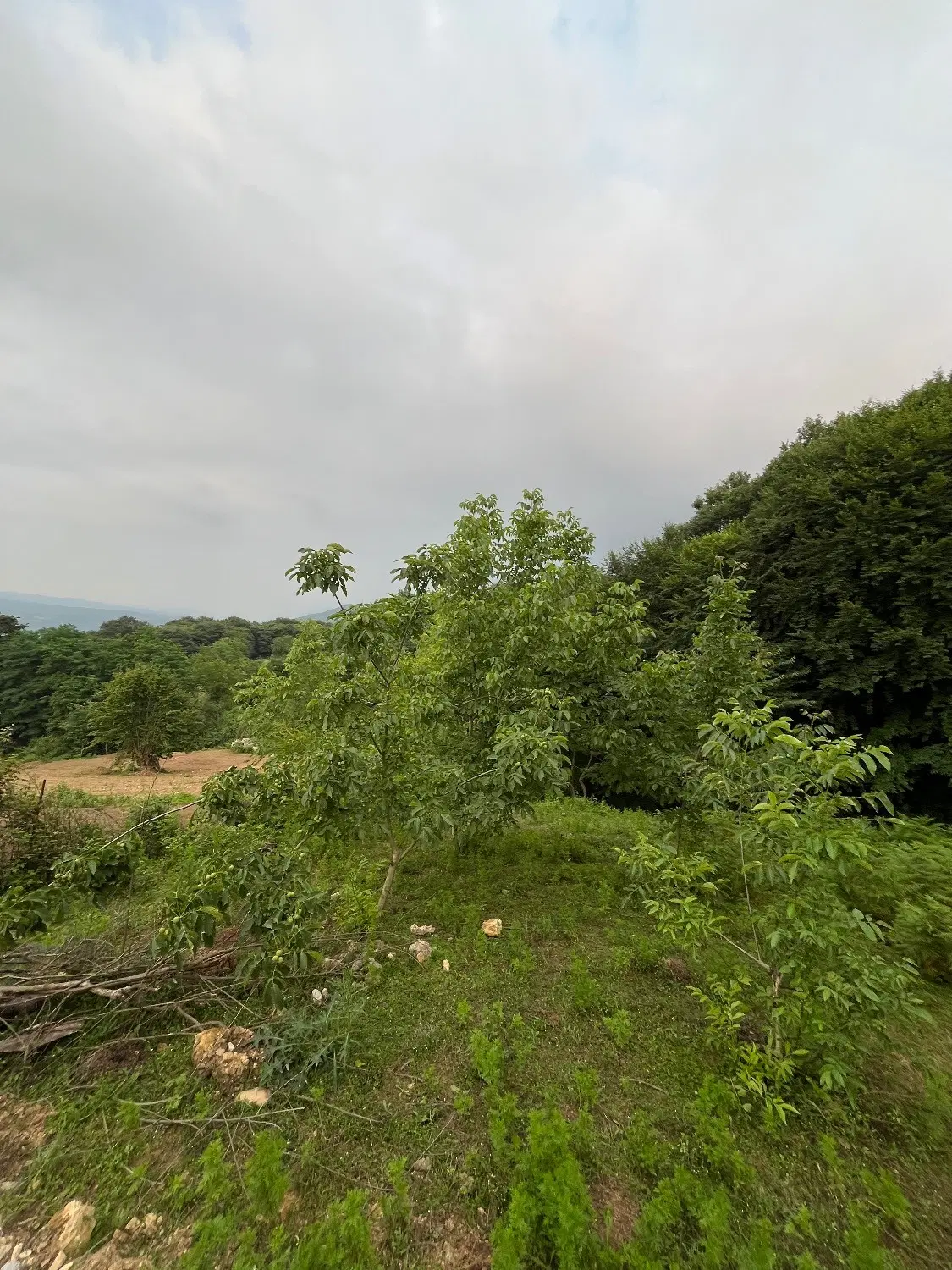 زمین واقع در روستای زیبای سلیم بهرام