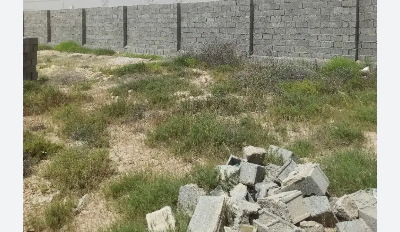 تنگک ۳زمین سر اصلی ۲۵۲متر