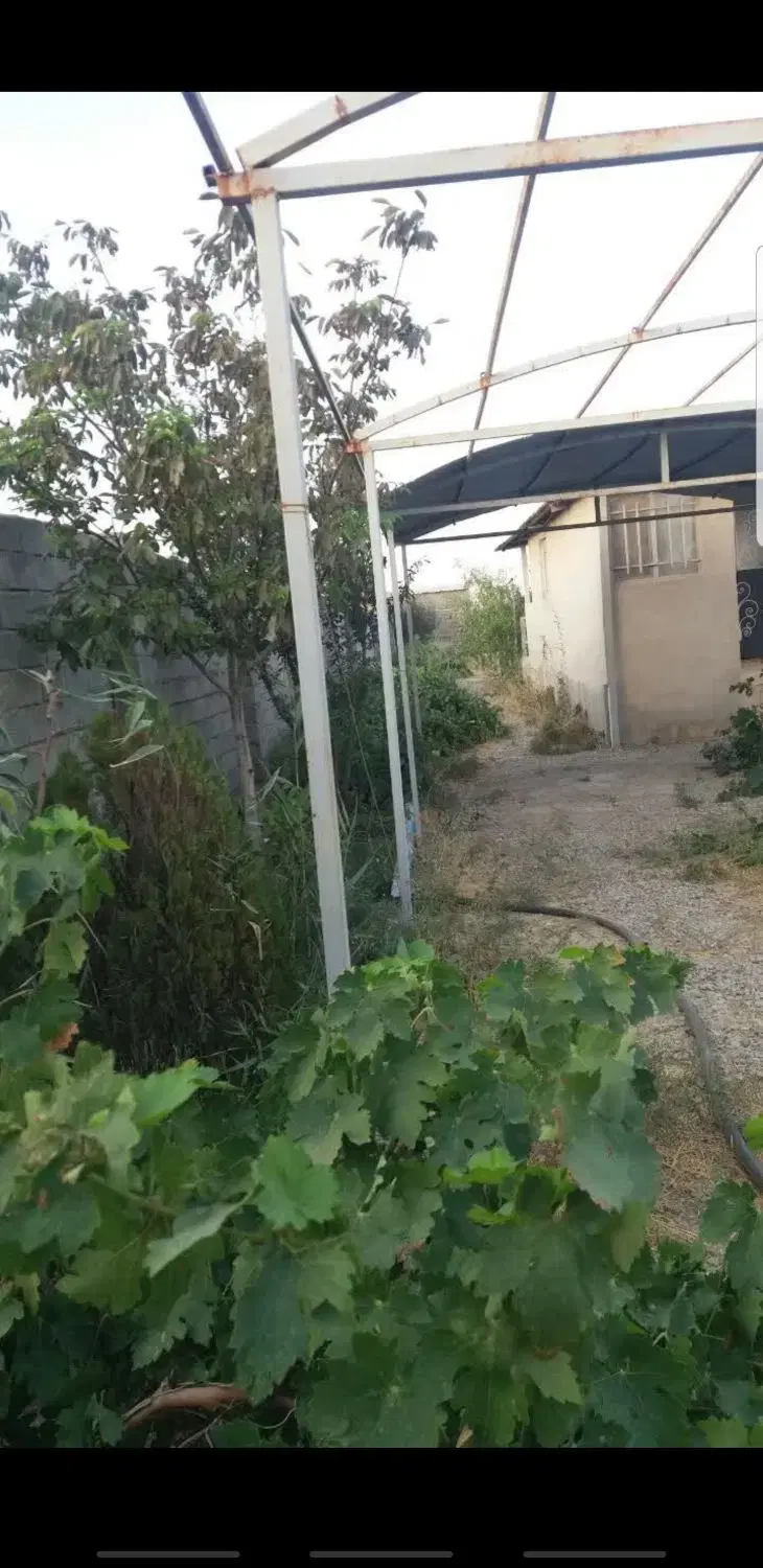 باغچه فروشی.ارغش اباد.معاوضه باخودرو.