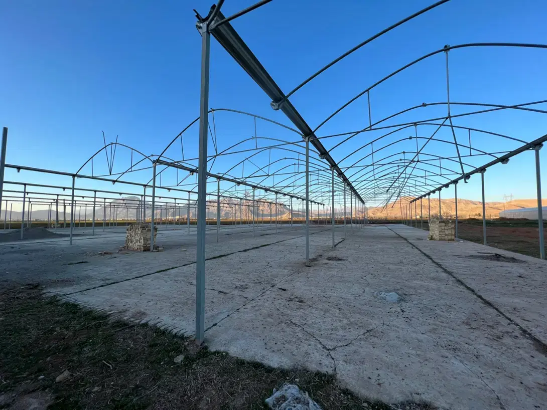 گلخانه 5200 متر مربع نیمه کاره