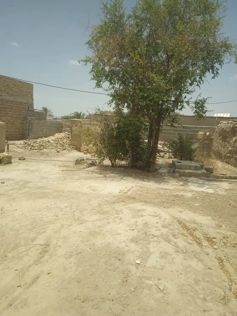 حونه فروشی