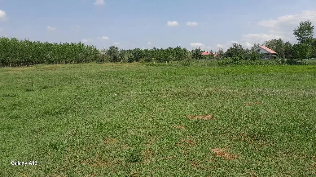 زمین باغی ومسکونی