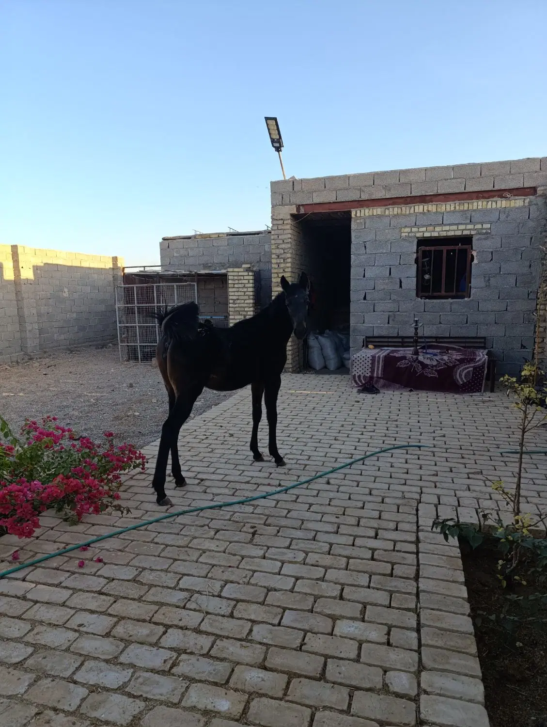 زمین 4دیواری رکن اباد