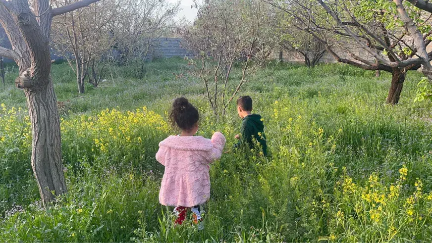 زمین ۱۴۰۰متری شاهنامه سندتک‌برگ