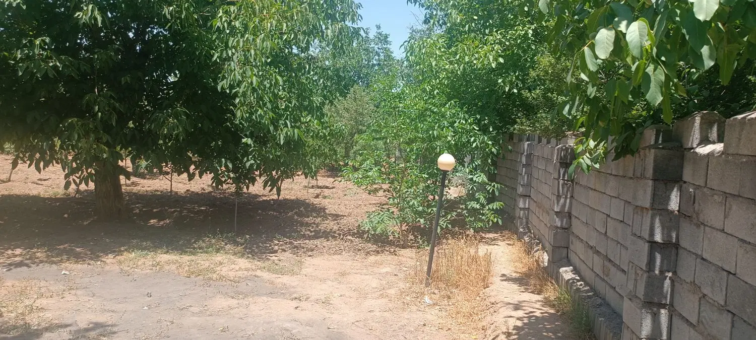 باغ روستای ور علیا محلات