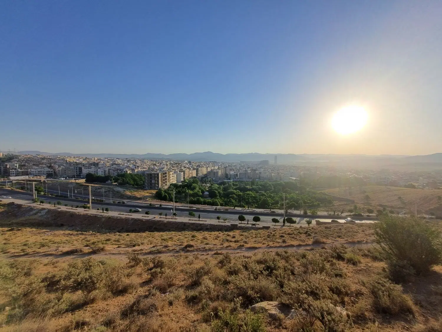فروش زمین باغی در مجموع همراه با سهم آب قره چمن
