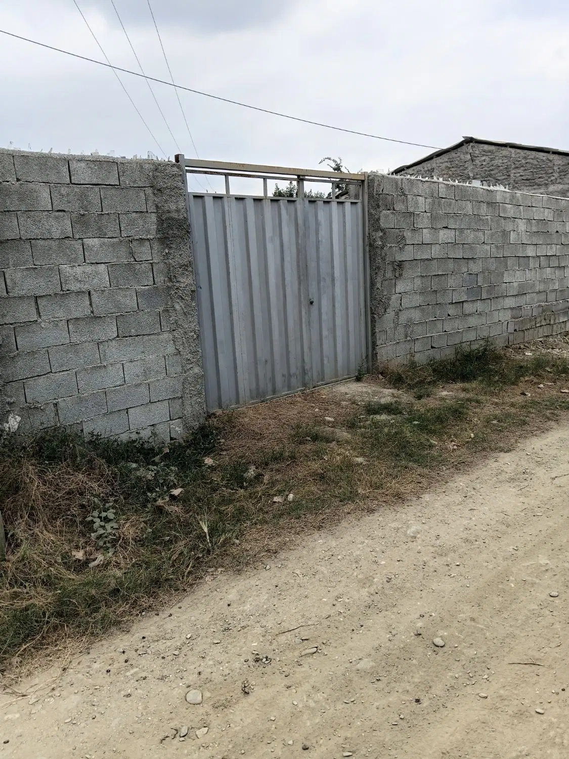 زمین باغی