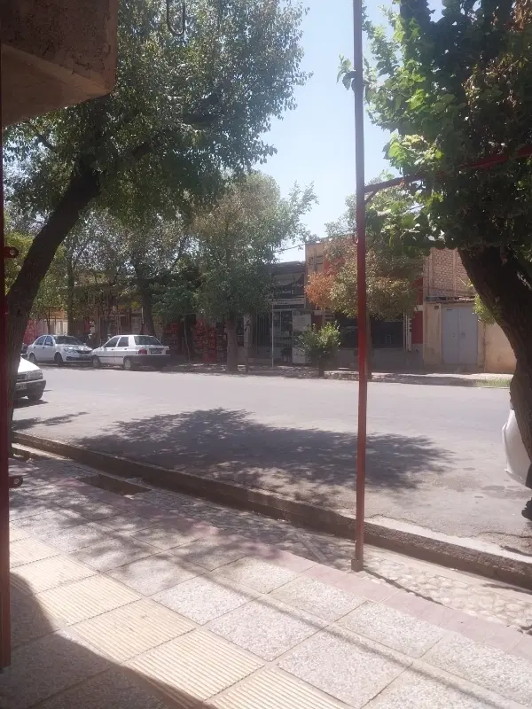 فروش باغ ۴۰۰ متری نسه