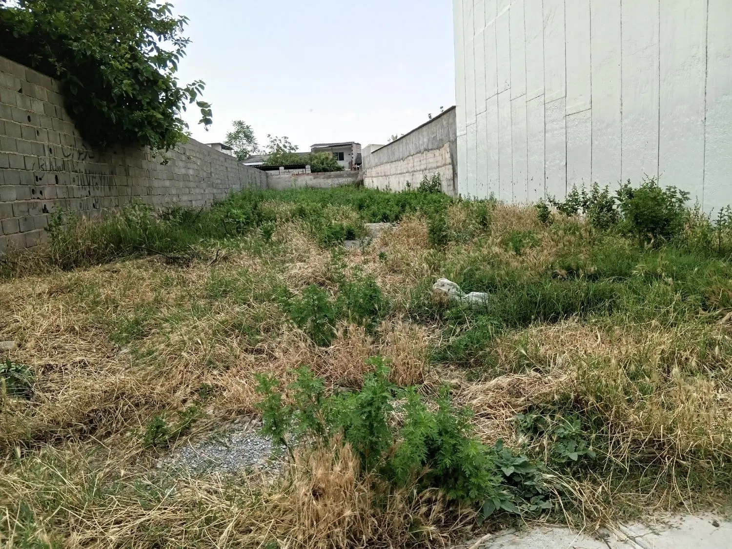 زمین فروشی  در روستای دودانگه
