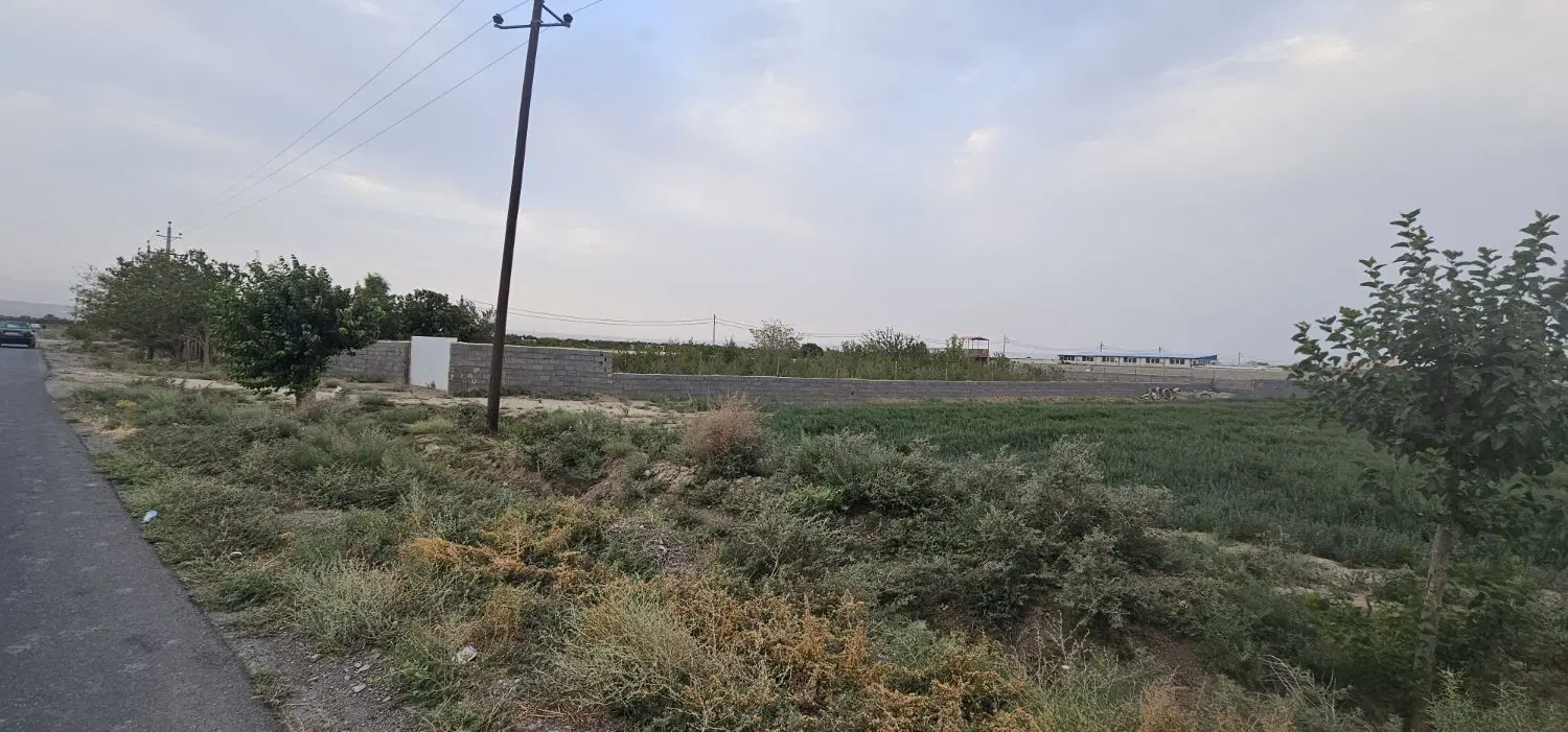 باغچه فروشی