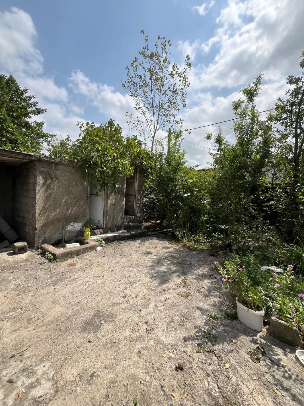 خونه باغ تجاری