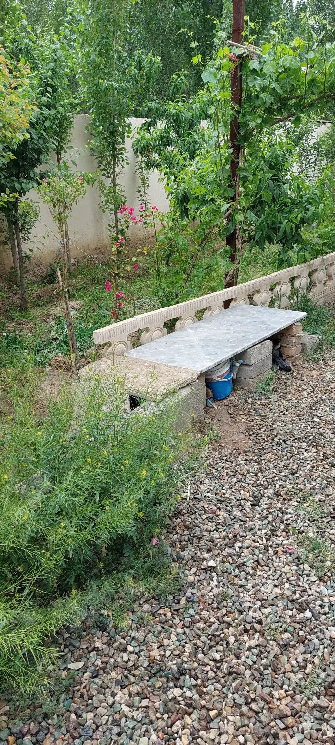 باغچه ۶۲۰ متری پدم