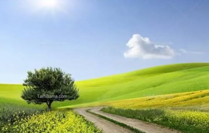 باغ سیمین