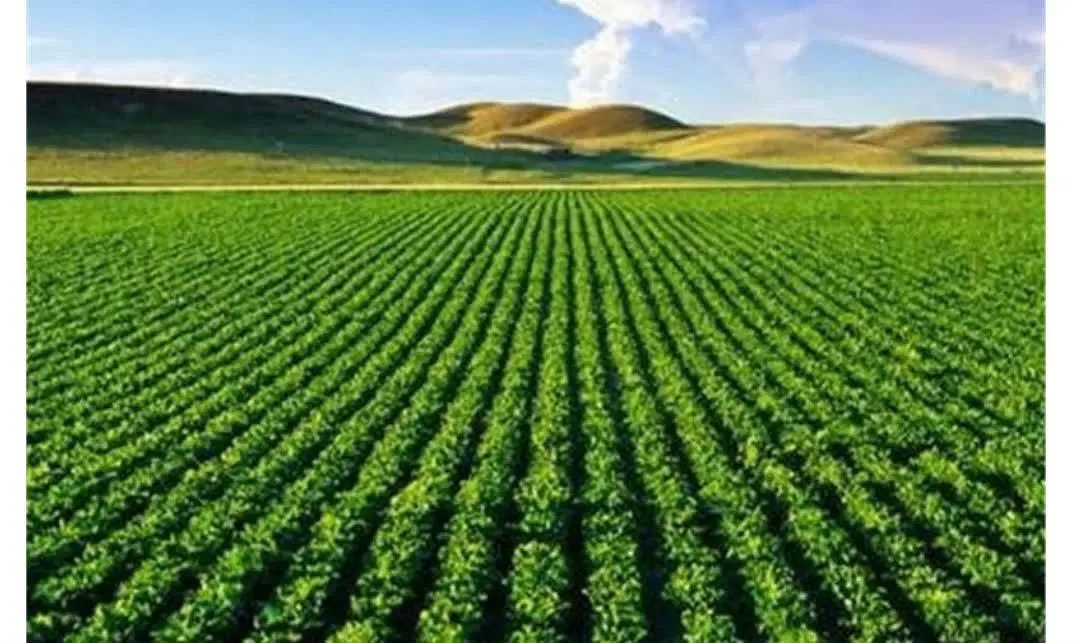 فروش زمین کشاورزی دوگنبدان