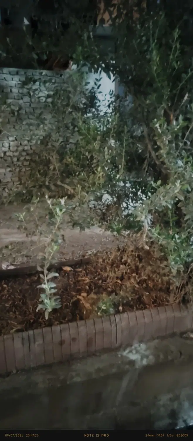 زمین مسکونی