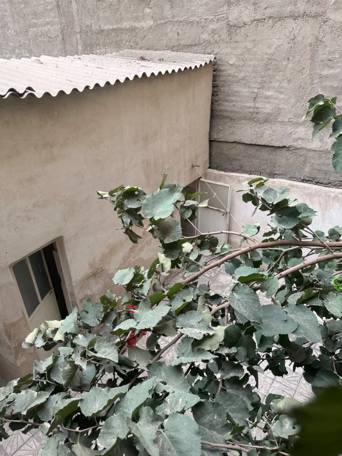 خانه