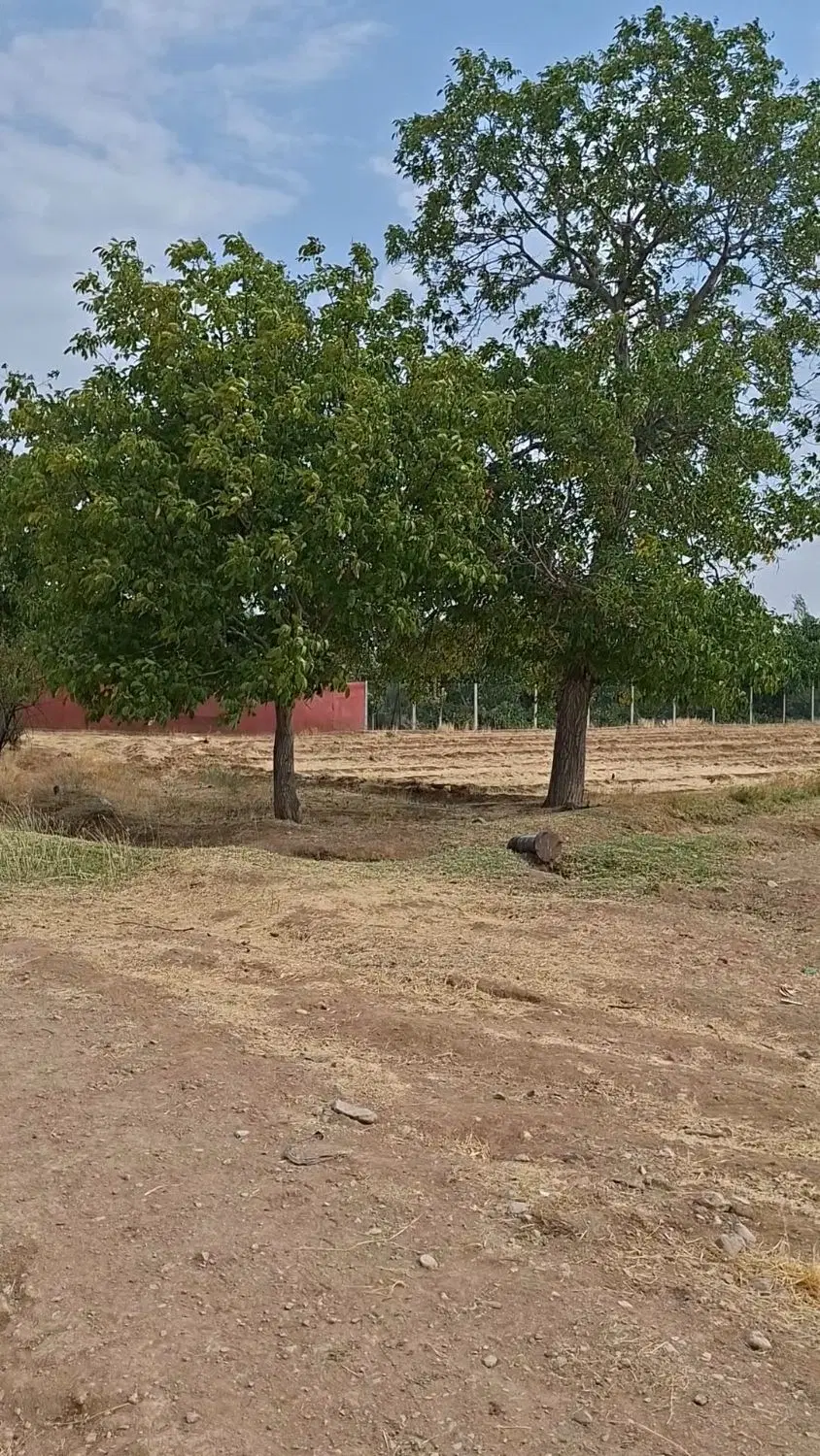 زمین داخل طرح  با کاربری کشاورزی  قلعه حسینیه