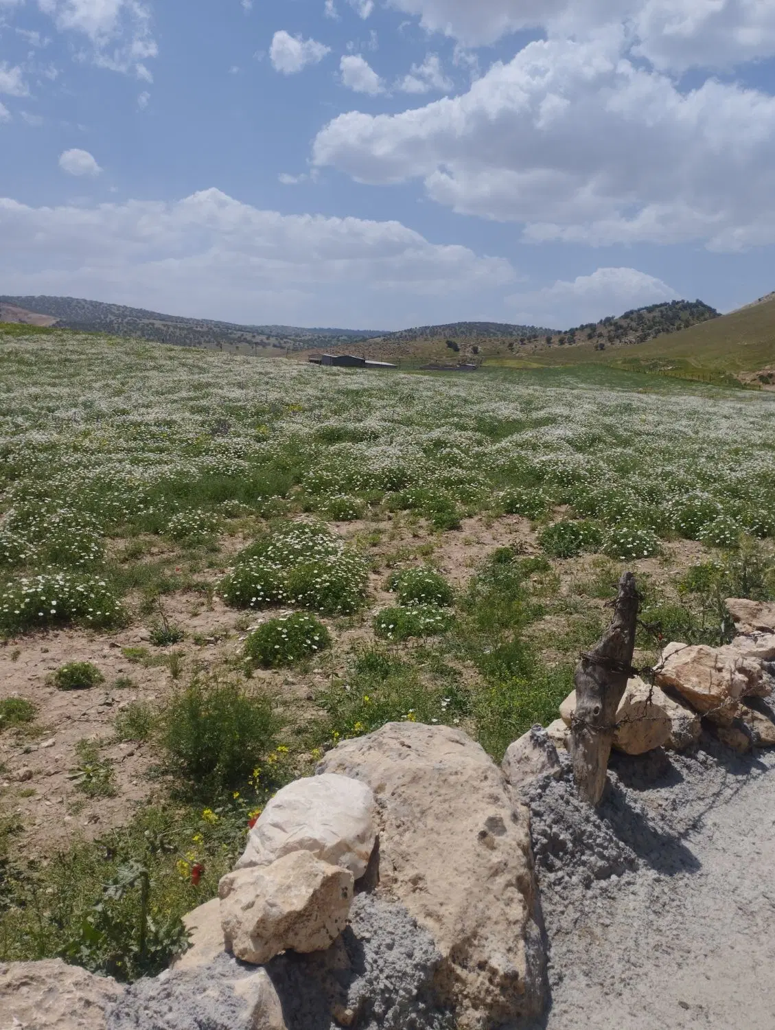 خانه اجاره ای ویلایی