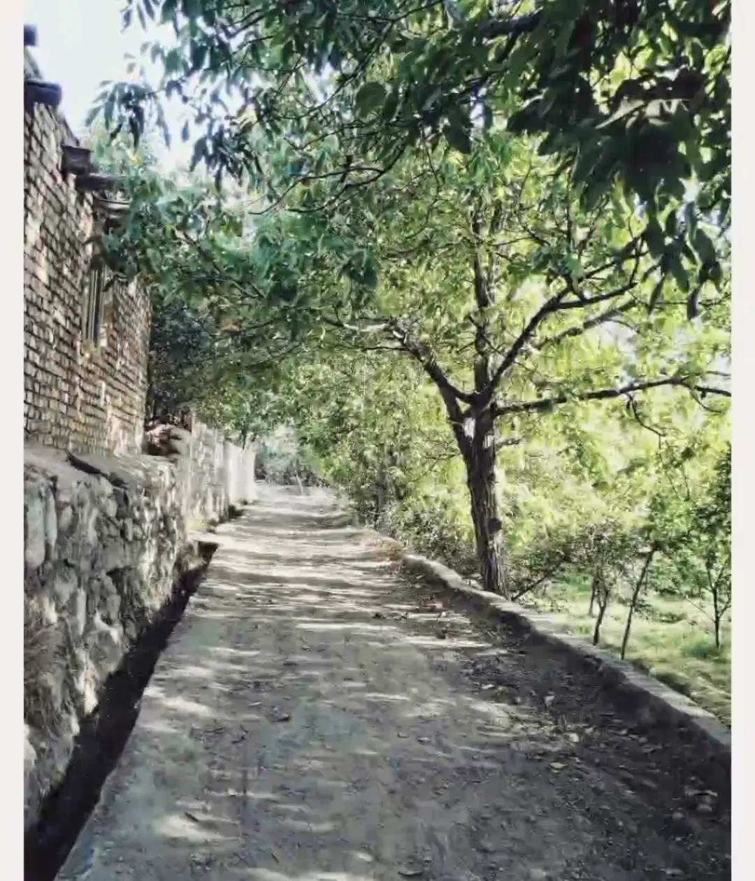 باغ ویلا دربست