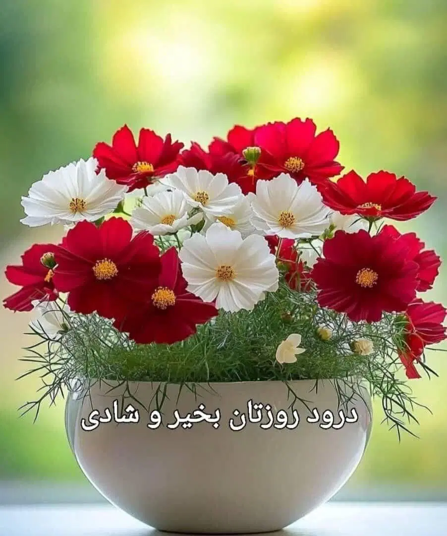 گلزار شمالی روبروی بر خیابان مسجد پاکوشک