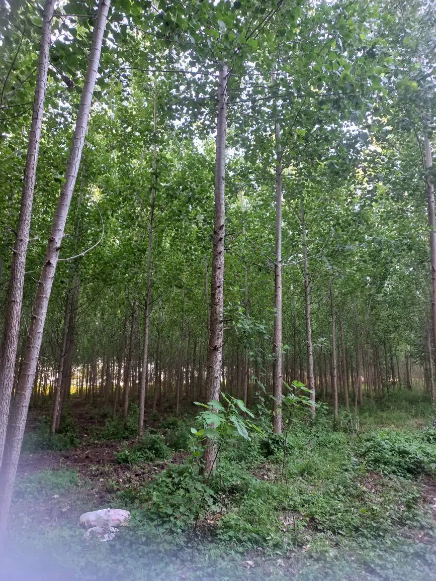 مشارکت در گردشگری