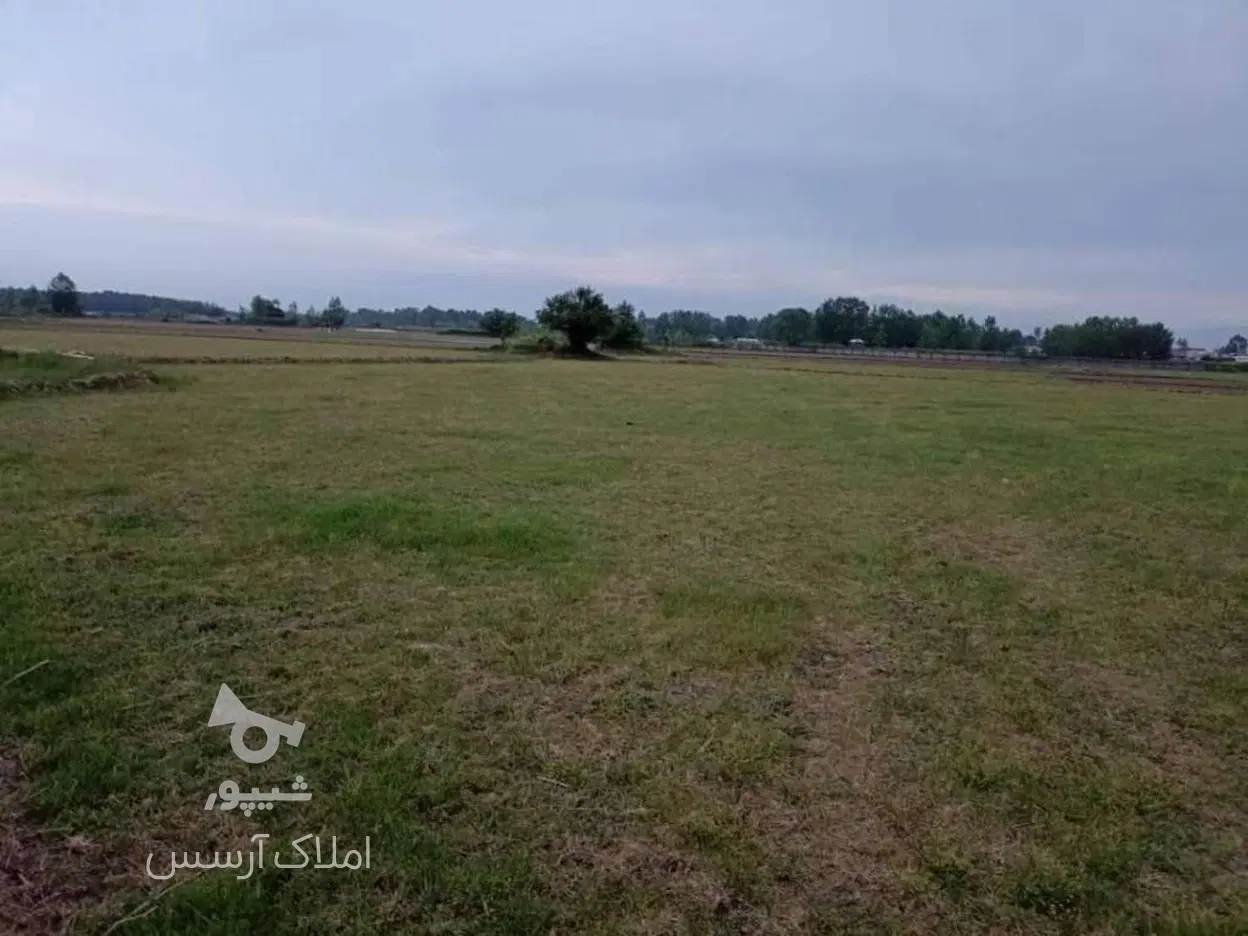 زمین کشاورزی مناسب ساخت مسکن وکشاورزی