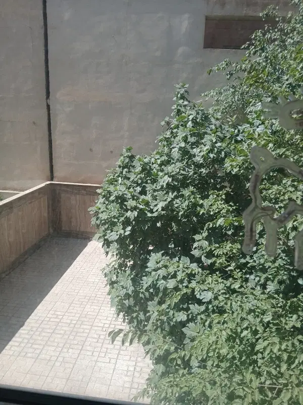 واحد ۵۸ متری سند دار خیابان فریبا