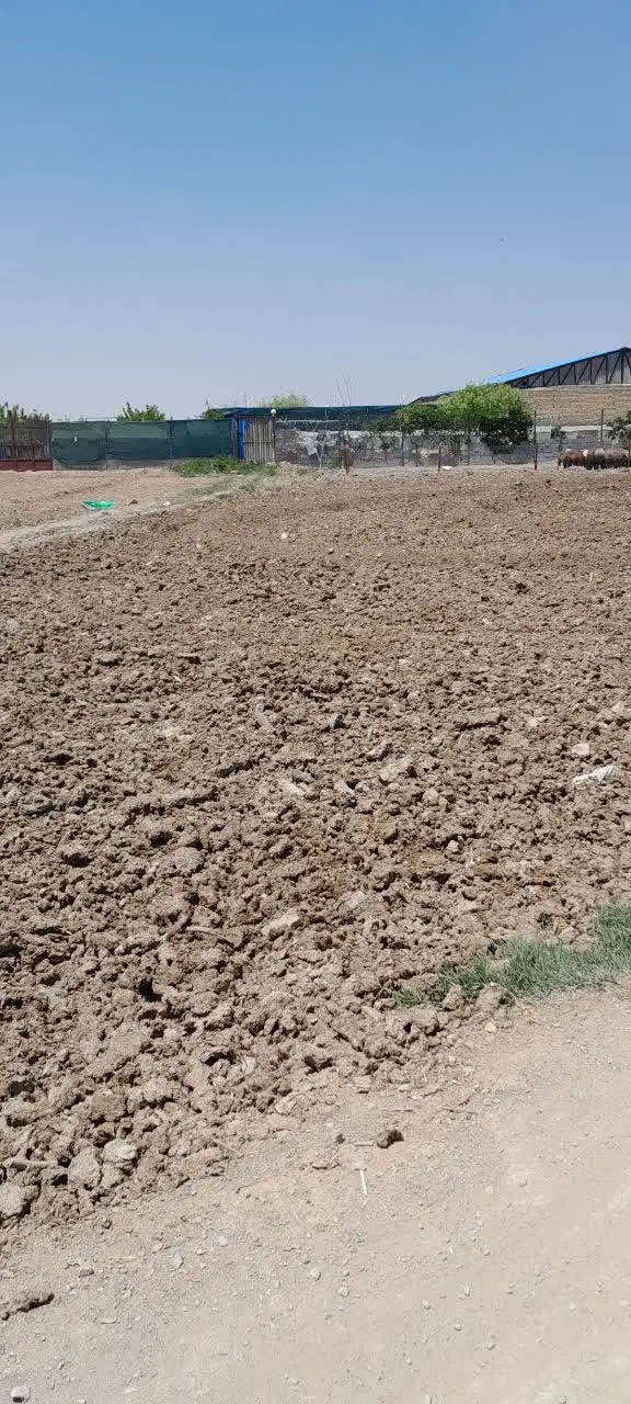زمین فروشی قابل تبدیل به سوله و کارگاه و باغ