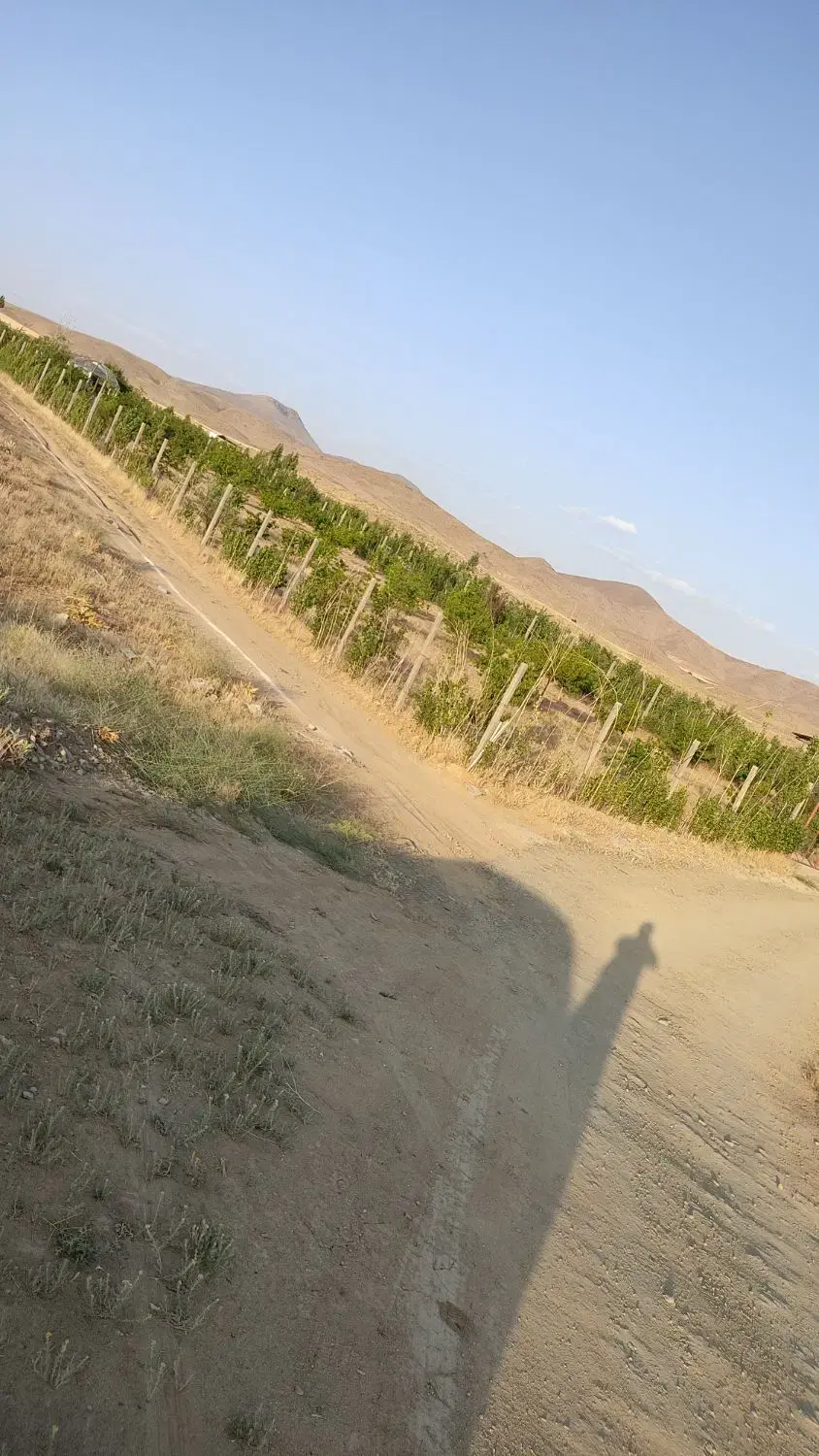 زمین باغی روستای خورهه